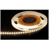 TAŚMA LED LED120-12V/9.6W-NW/5M - 4000 K MW Lighting