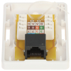 GNIAZDO KOŃCOWE RJ45-G1/6