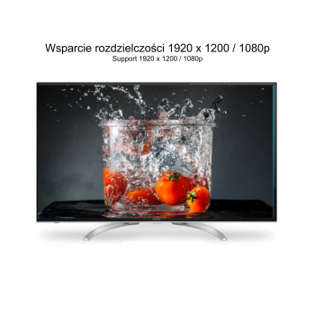 KONWERTER HDMI NA VGA Y-6355 + AUDIO + ADAPTERY MICRO I MINI HDMI UNITEK